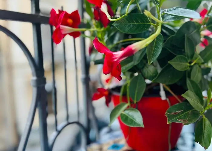 Art Palace & Story Center Lejlighed *